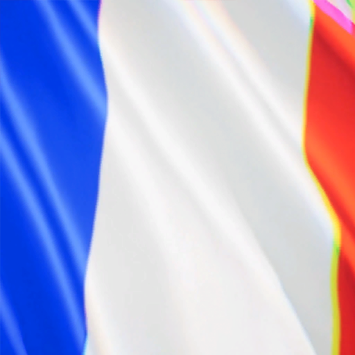 France Flag (Unused)