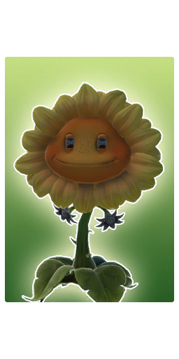 Metal Petal Organics