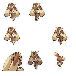pmpl_454_frnt_m_r802.png pmpl_454_frnt_m_r802.png