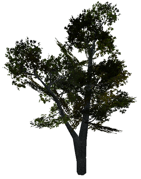 tree_greyv1.mdl tree_greyv1.mdl