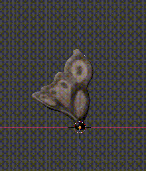 SPORE_0_Fauxry_wings_shape_key_0.gif