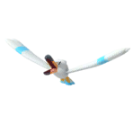 NPS_p023-2.png