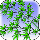ITM00 Tanabata bamboo tree