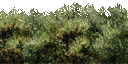 CMR3_Xbox_TEMP_bsh_sh1b.png