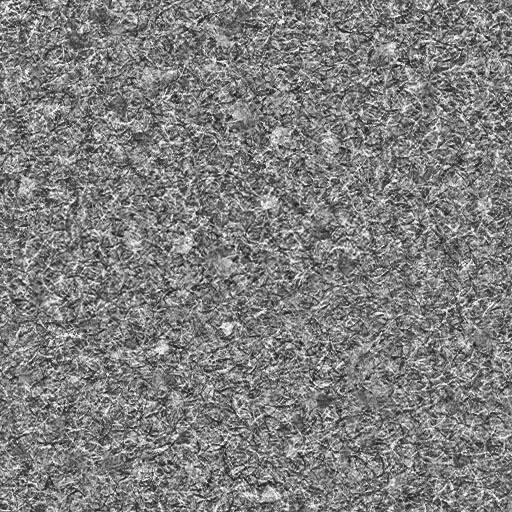 Roblox_Grass_Texture_gray_2009.jpg