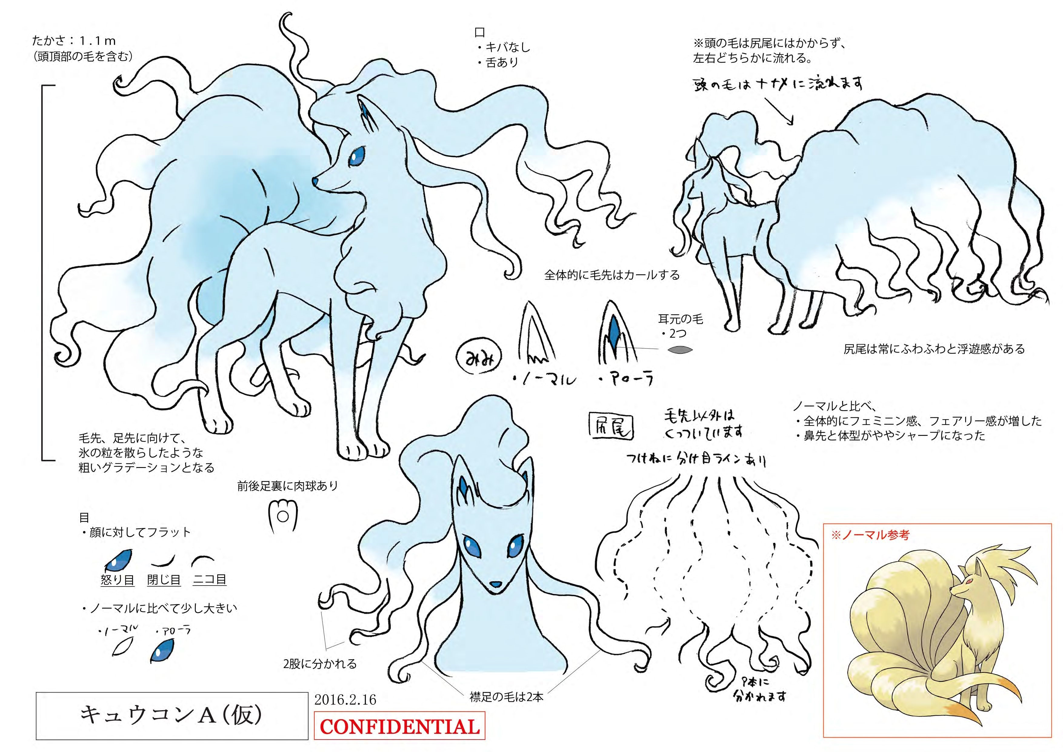 PokeSM_ConceptArt_キュウコン(アローラのすがた)_三面図.jpg
