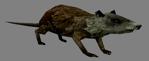 Another Rat skin.