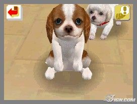NintendogsFebruary2005Screenshot17.jpg NintendogsFebruary2005Screenshot17.jpg