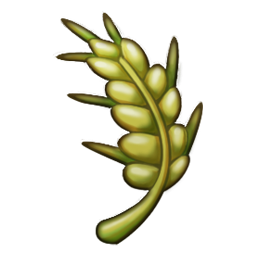 MSM_DOF_Grain.png