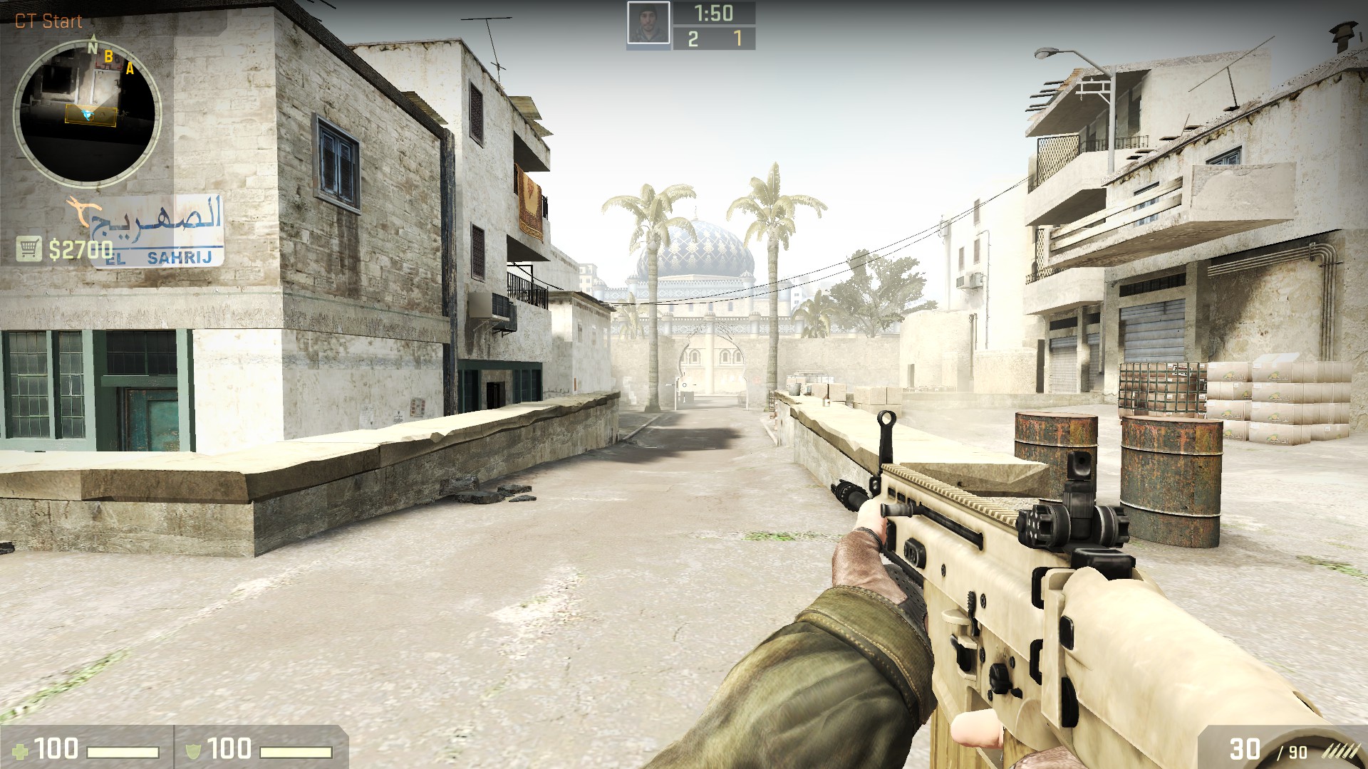 The SCAR-17 in-game.
