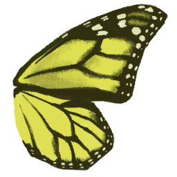 butterfly_wing