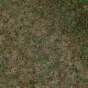 Texture073.png