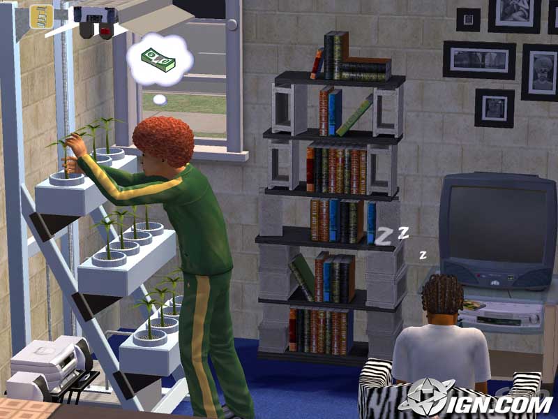 Sims2_Dec2003Image_3.jpg